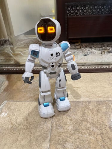 R/C Programmable Robot