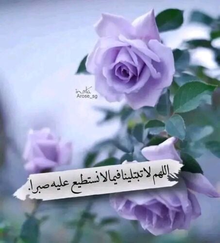 مس أزهار
