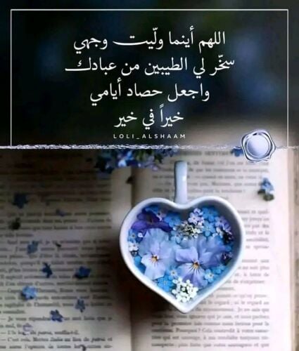 مس أزهار