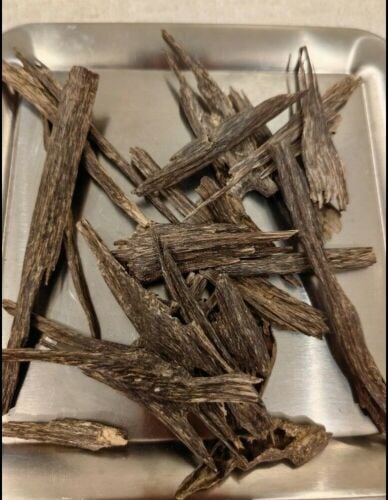 Indian Oud Nagaland Supernatural