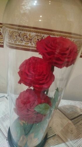 ورود طبيعية طويلة الاجل
