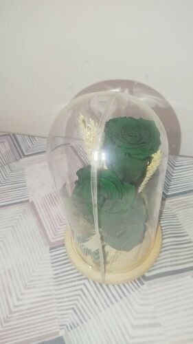 ورود طويلة الاجل