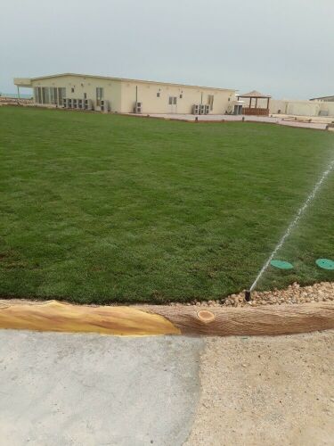 شبكه الررررررري