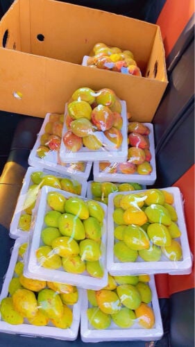 fresh seasonal fruits 