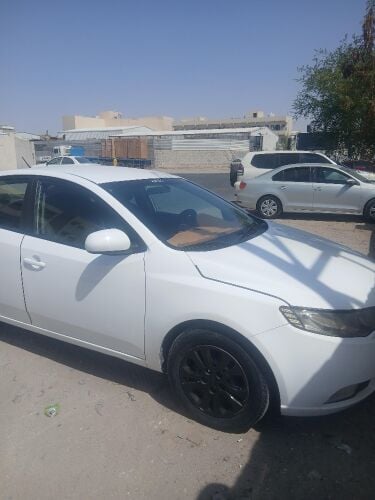 family use car