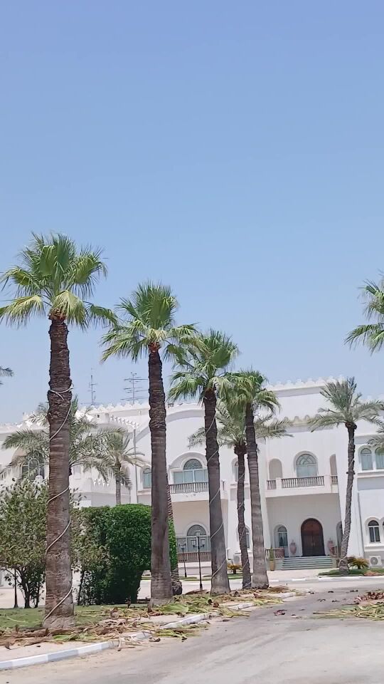 المعلم لتكريب وصيانه مزارع النخيل