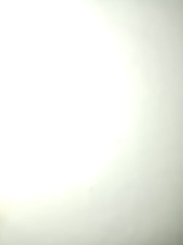 نبيل الكابلي الزبير