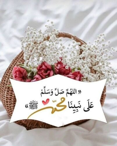 مطلوب شيف على درايه تامه