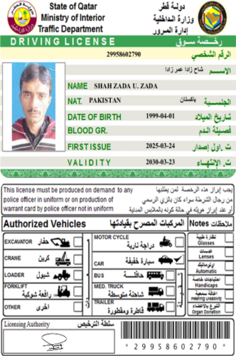 شاہ زادہ