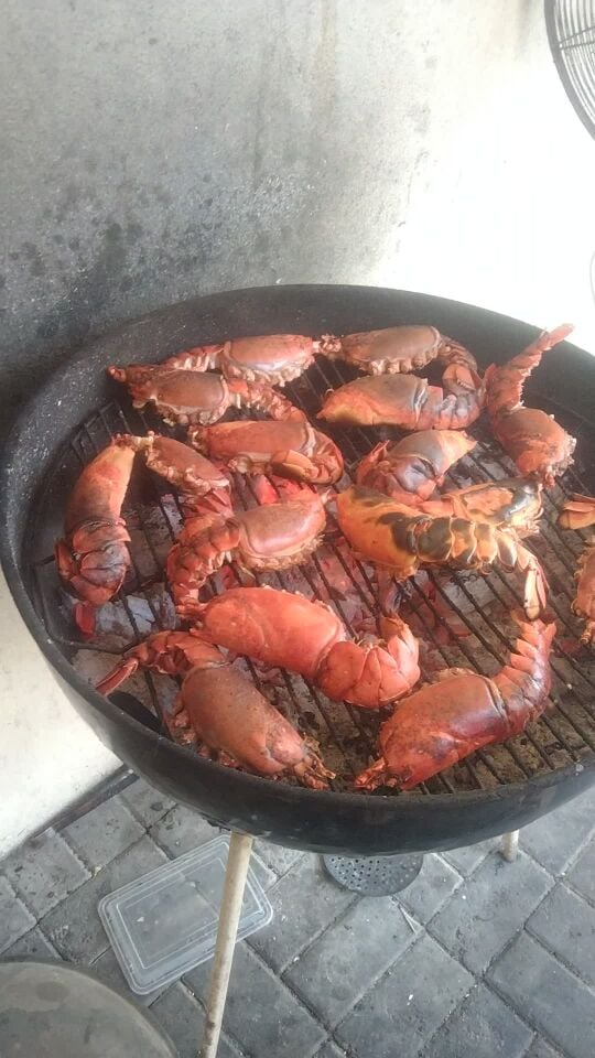 Arabic cuisine cook