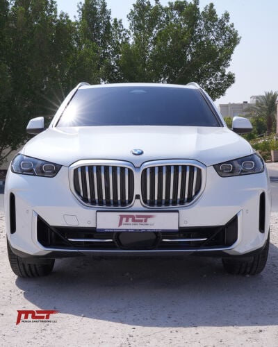 13,000 KM only - original paint