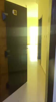 النصر 