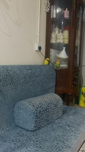 للبيع