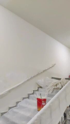 Painter Service
