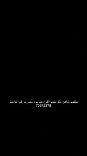 مطلوب 