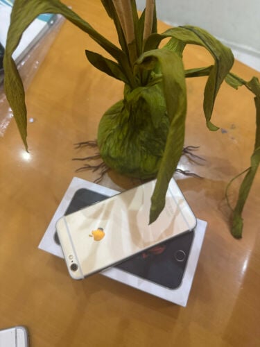 I phone 6s USA orignal gold 
