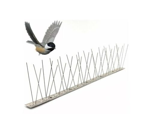 Bird Spike new