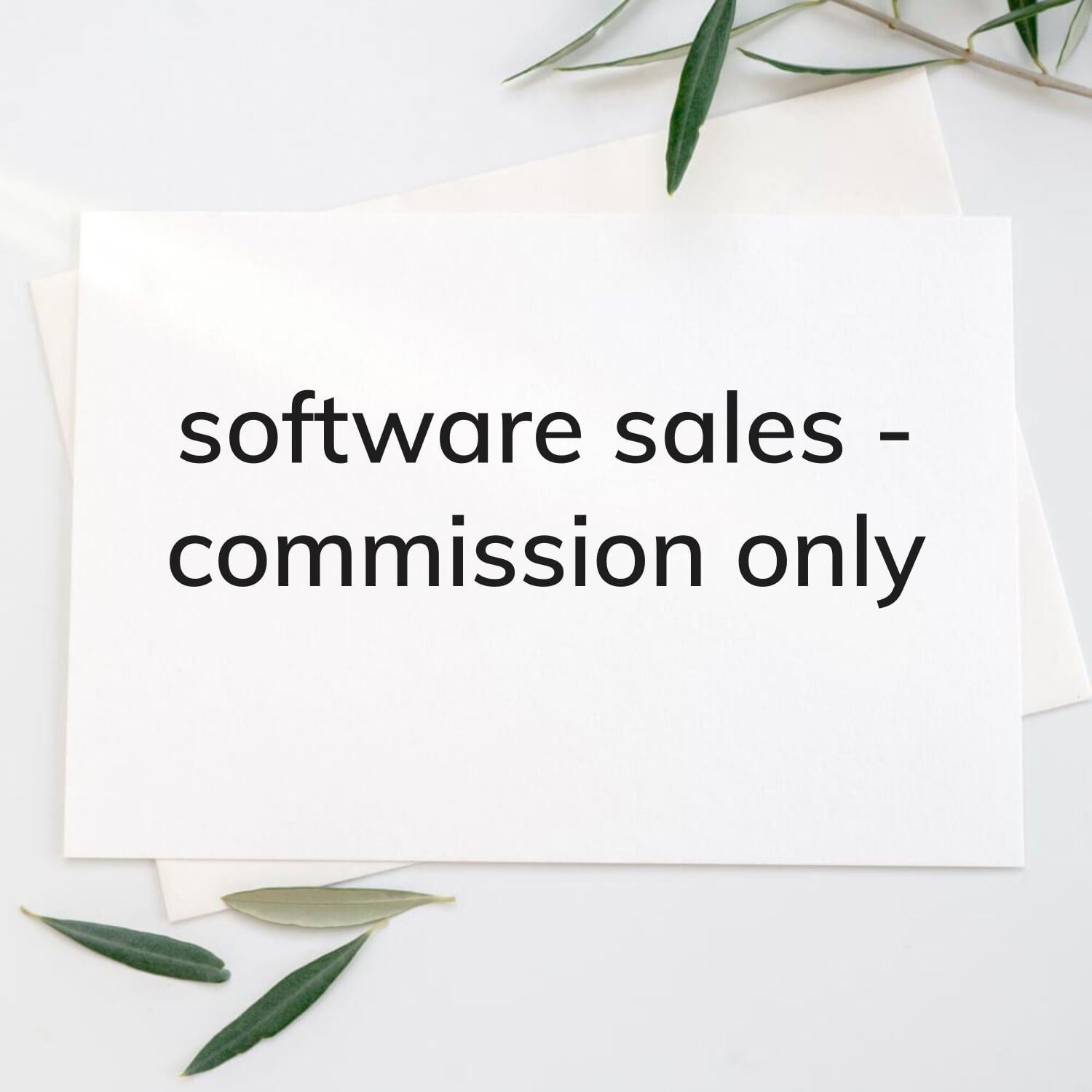 software salesperson - commission 