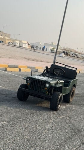 ميني جيب