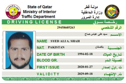 Syed Ali