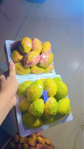 looz