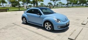 New Beetle 2015ExceptionalCondition