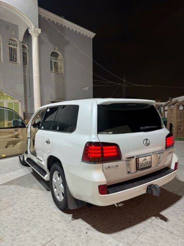 صبغ بانه فقط