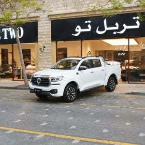 جي دبليو ام بوير بلاتنيوم 2027