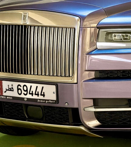 69 Special Plate Number 