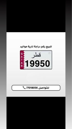 دراجة موليد ١٩٩٥٠