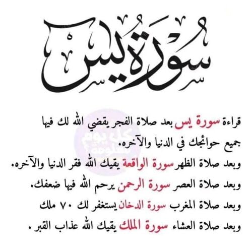 معلمة تأسيس ابتدائي