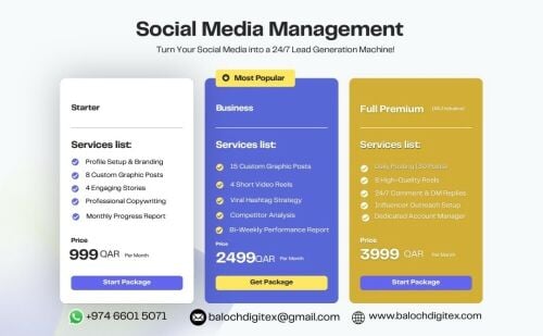 Digital Marketing & Web Development