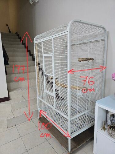 Big parrot cage