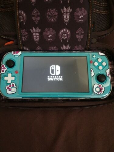 Nintendo switch lite + accessories