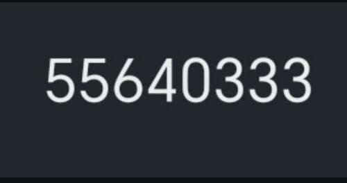 55640333