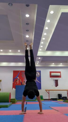 Gymnastics, CrossFit and Fitness Co
