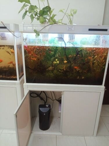 Aquarium