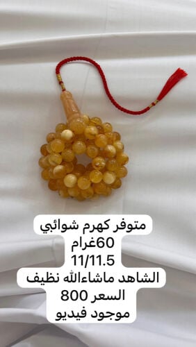 مسباح كهرم شوائبي 
