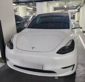 Tesla Performance 2024