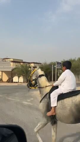 للبيع 