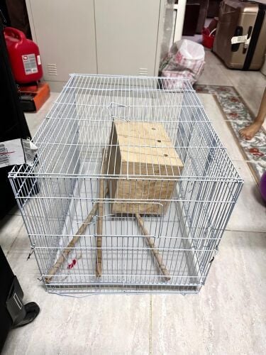 bird cage with hatching nest