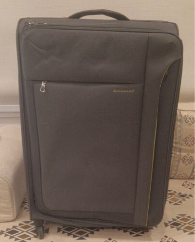 Large travel bags in excellent cond