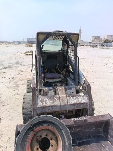 bobcat for sale