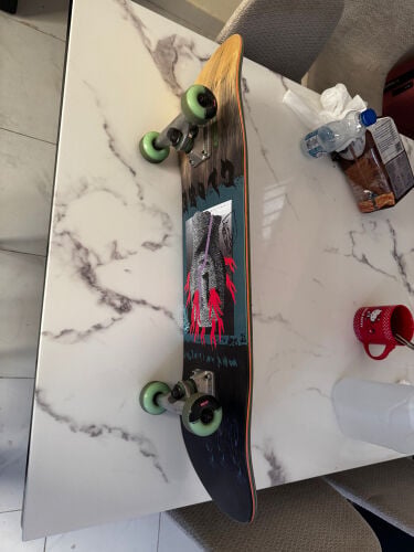 globe skateboard