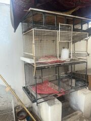metal cage for sale
