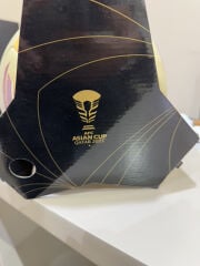 official Asian cup ball