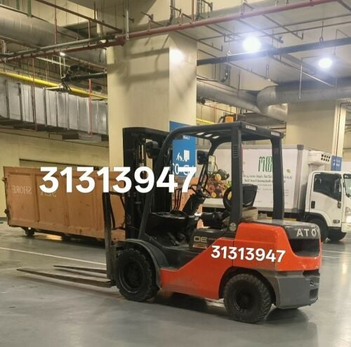Forklift for Rent.31313947