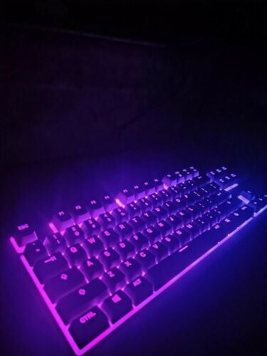 Steelseries apex 3 tkl keyboard