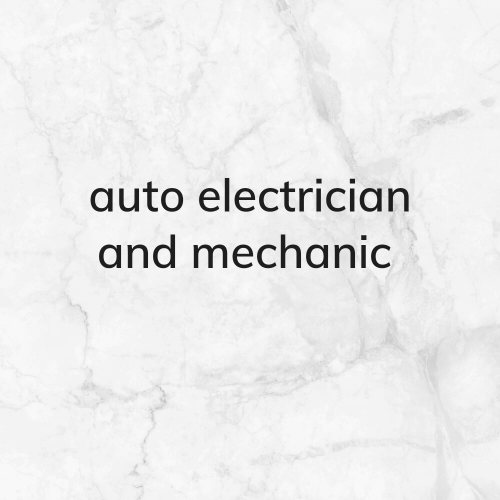 auto electrician & mechanic