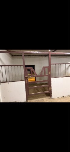 Horse room 1000 